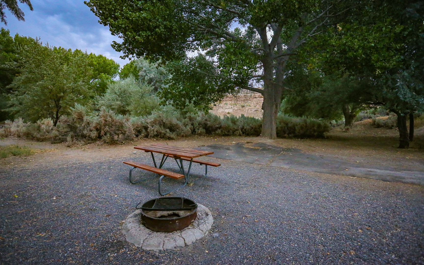 A spacious and shady site at River Campground.