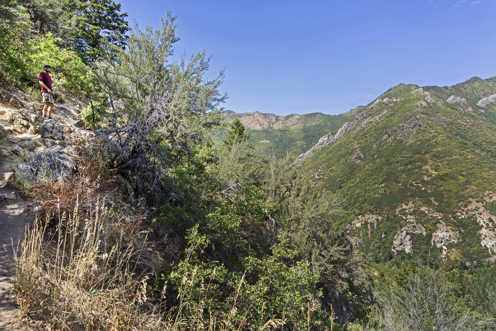 Hiking the Desolation Trail.