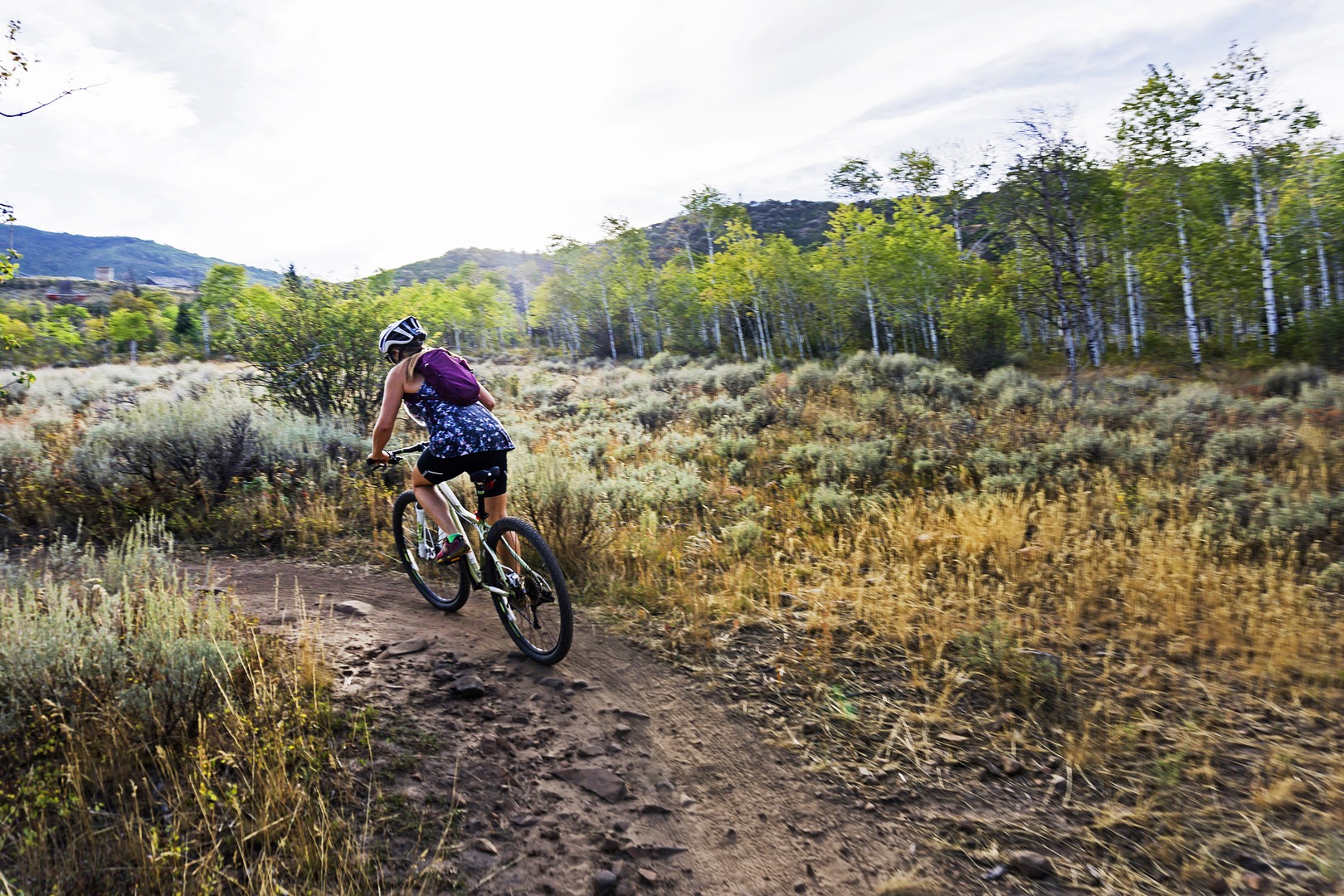 Beautiful aspen groves line the trail.