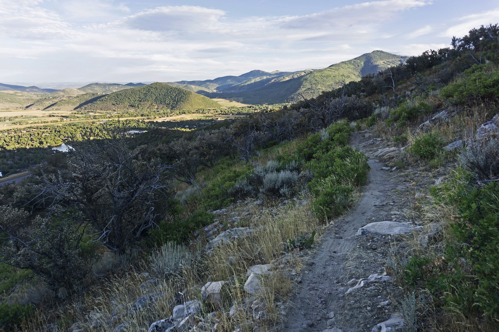 Heading south toward the Legacy Loop. The terrain gets much more fun to ride at the top, but there is a stretch where it is very technical.