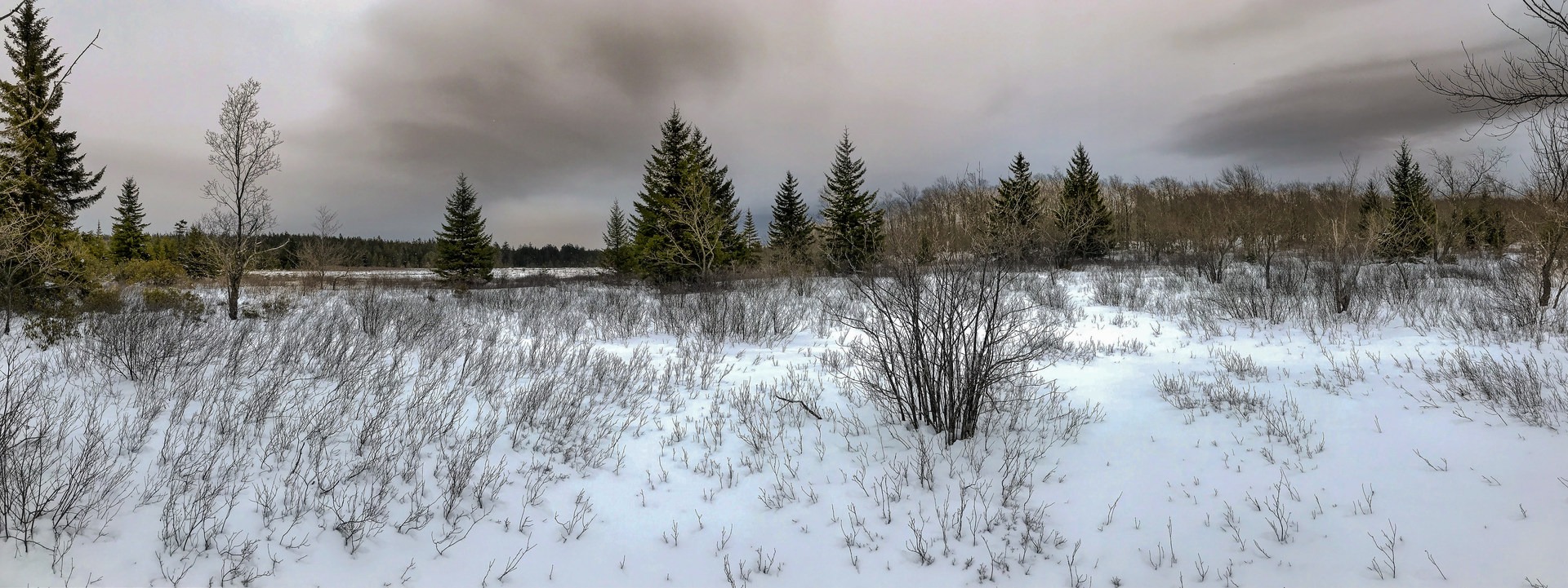 One of the many open sods the area is know for.