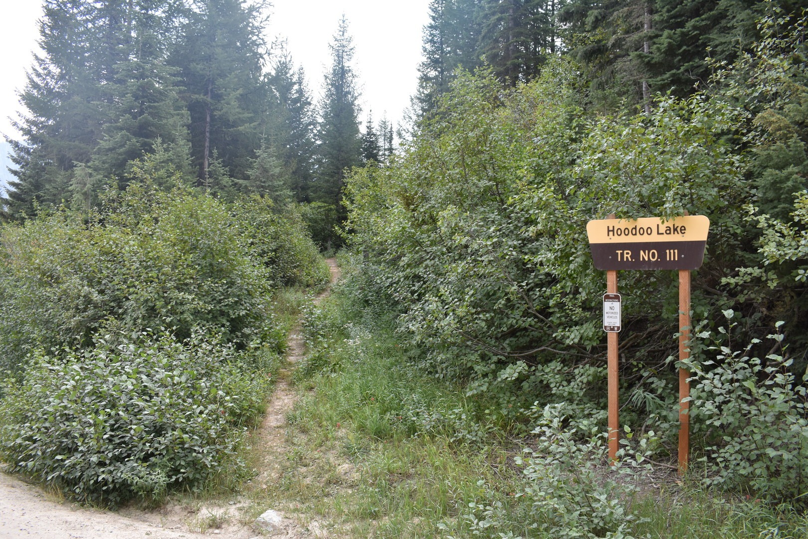 The trailhead.