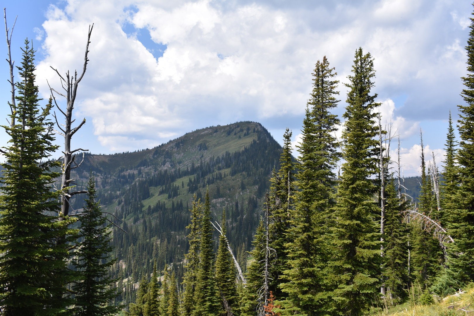 The summit in the distance.