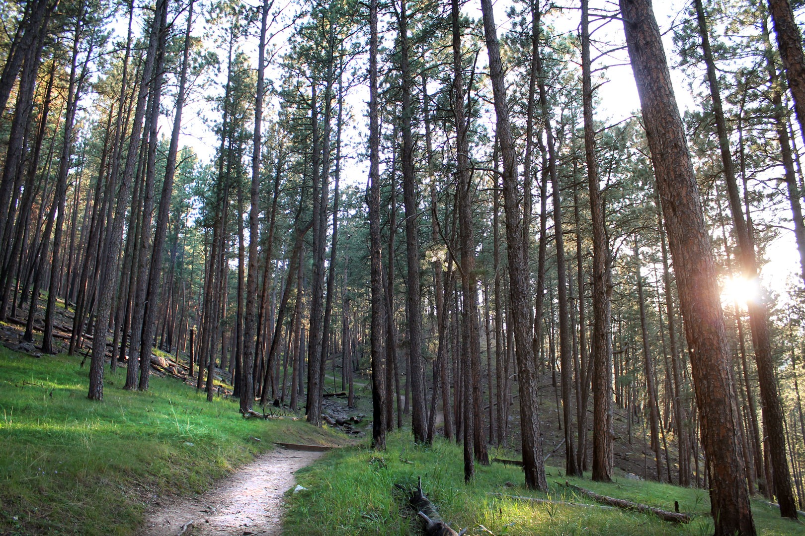 Hiking the Lover's Leap Trail.