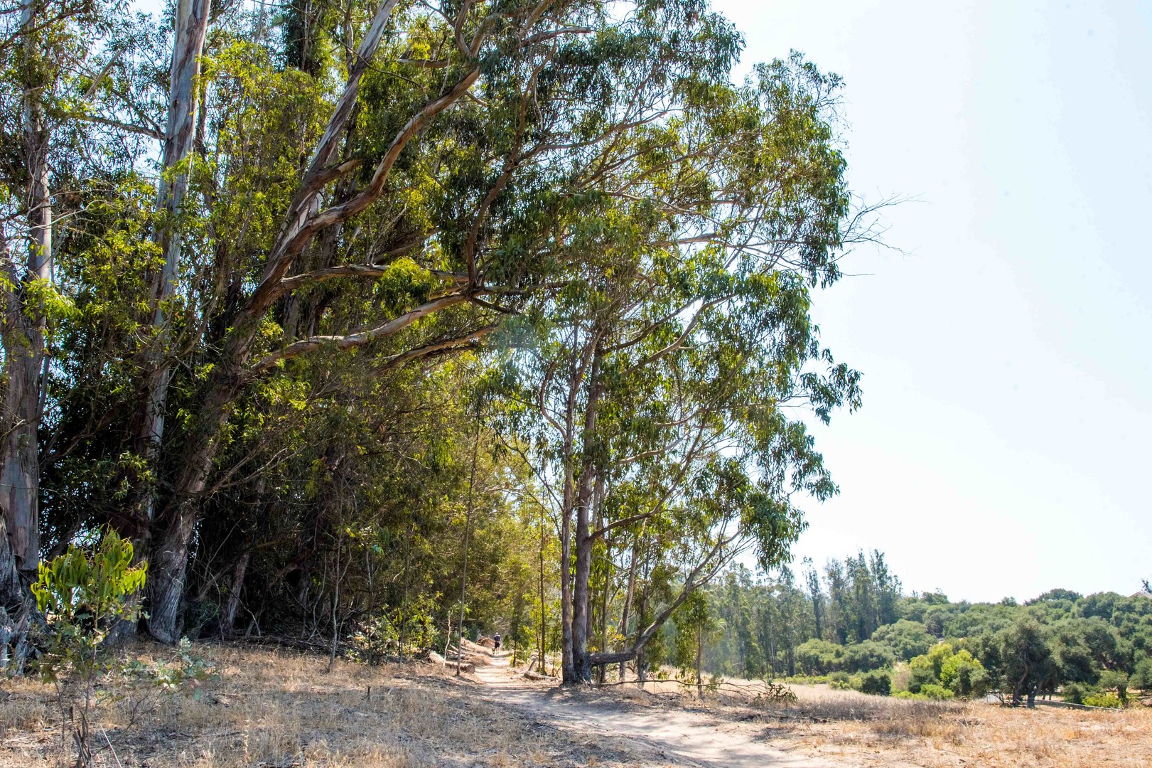 Orcutt Hills Trail Outdoor Project