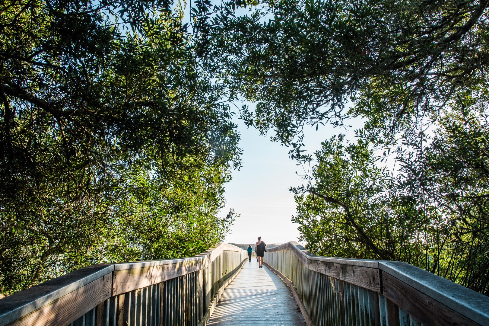 Bridge out across Oso Flaco Lake.