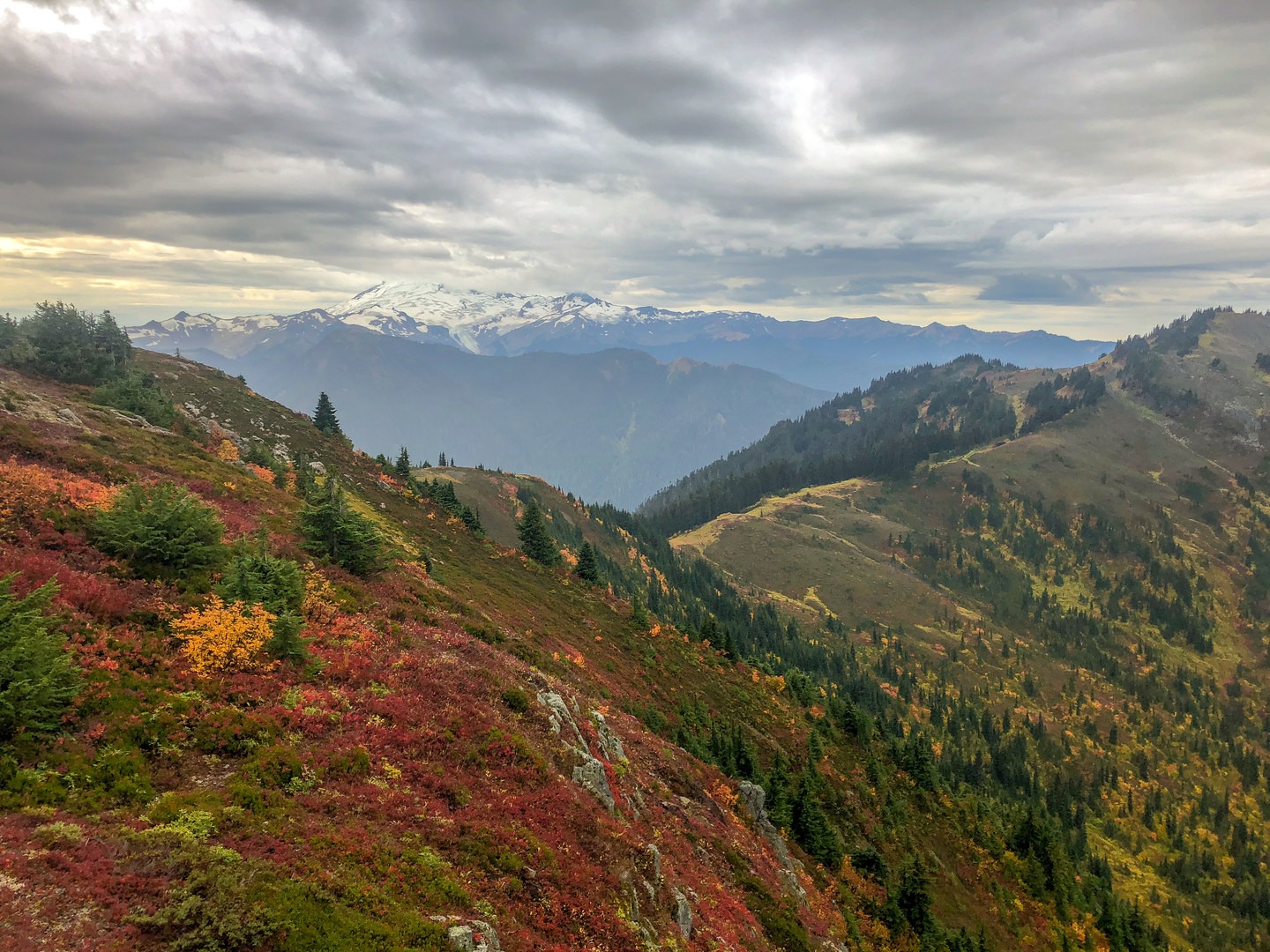 The final stretch to Welcome Peak offers a delightful mix of color and contours.