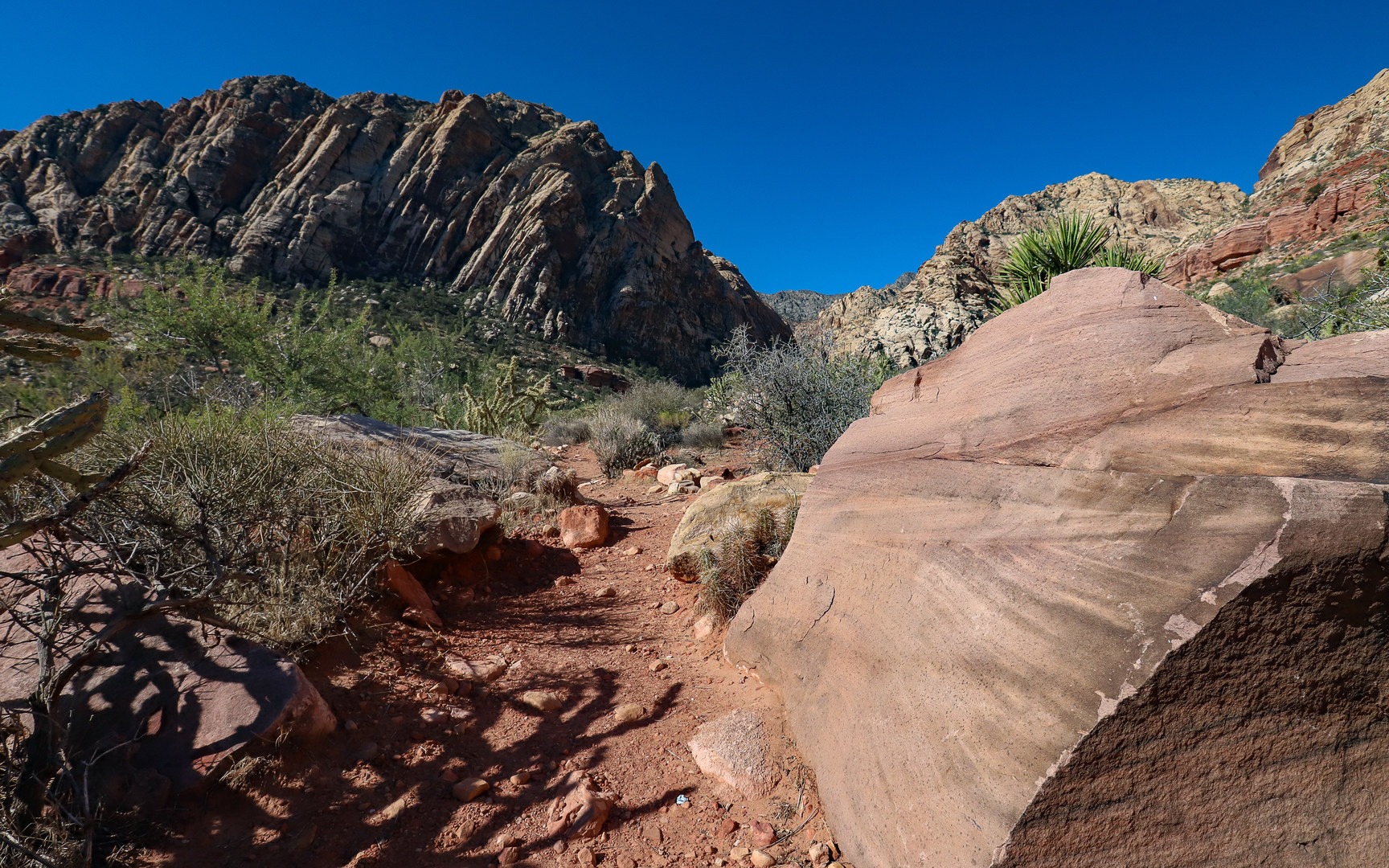 Geological history on display on the Sandstone Canyon Loop.