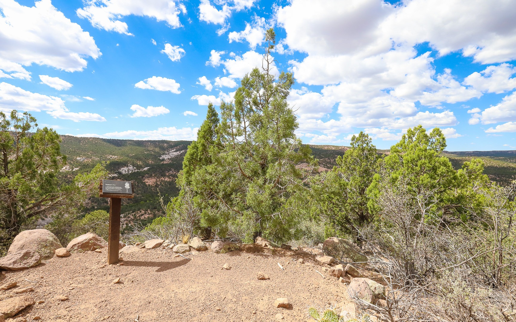 Views near the top of the Interpretive Trail.