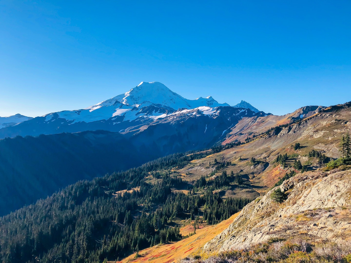 An expansive view of Mount Baker and across to the Cougar Divide (left), with the trail weaving from right to center.