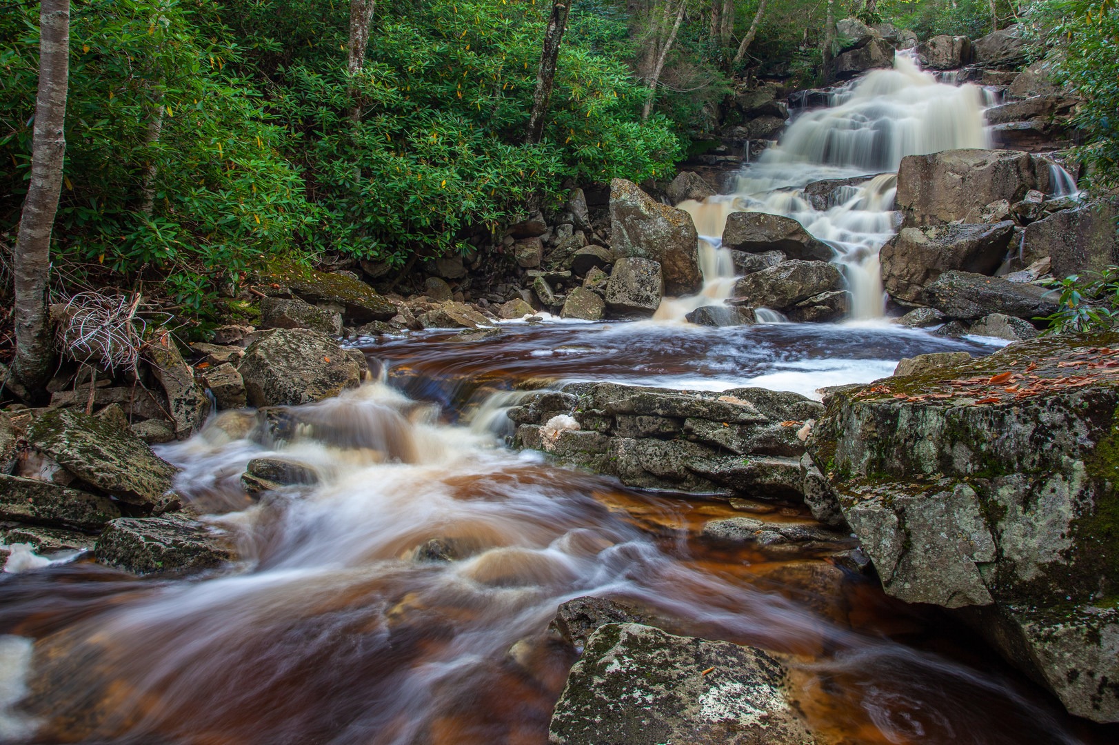Big Stonecoal Falls (in high water) making its way down to Red Creek. This is about 25 feet below the trail.