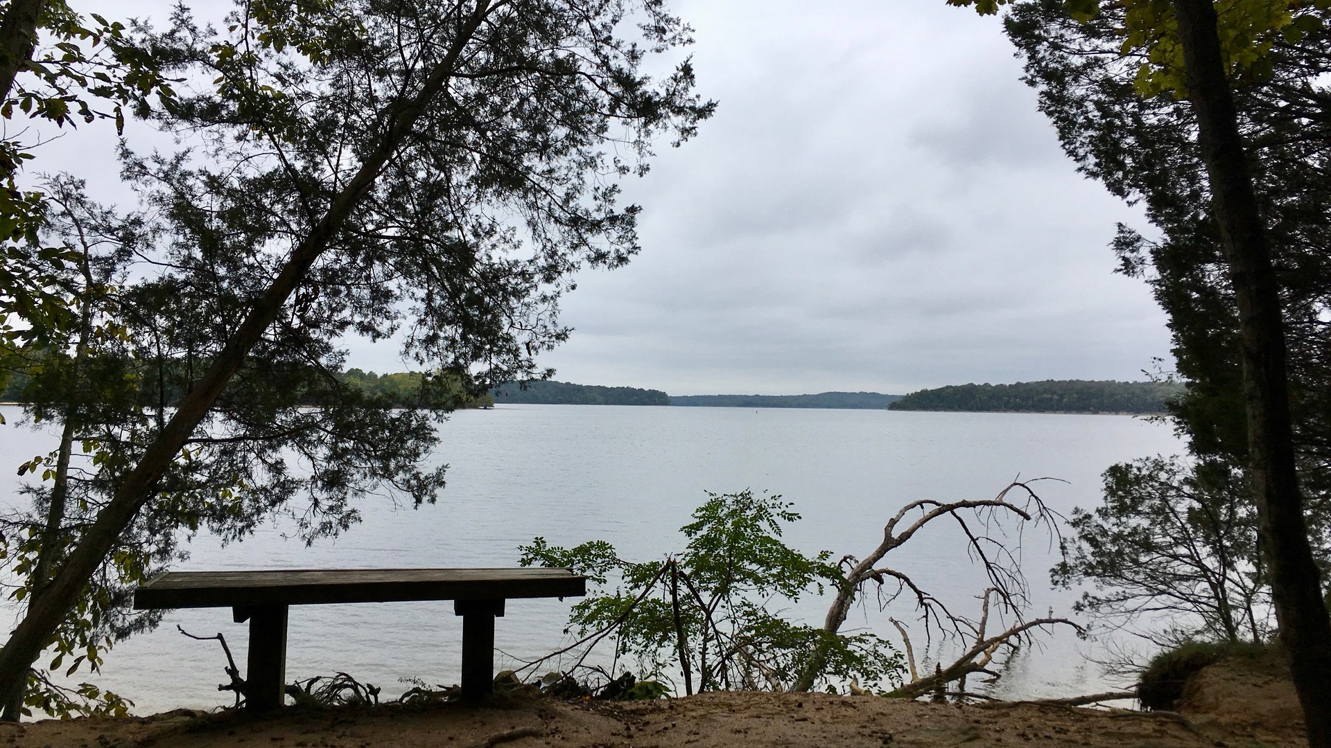 Views of Percy Priest Lake from the Day Loop Trail.