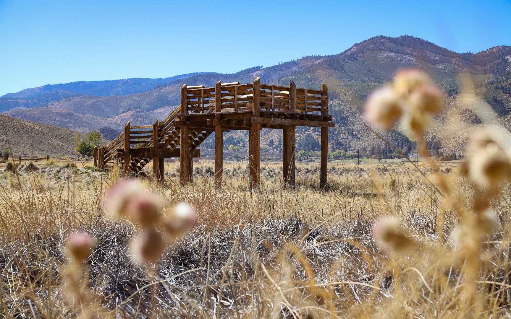 Wetlands Loop Outdoor Project