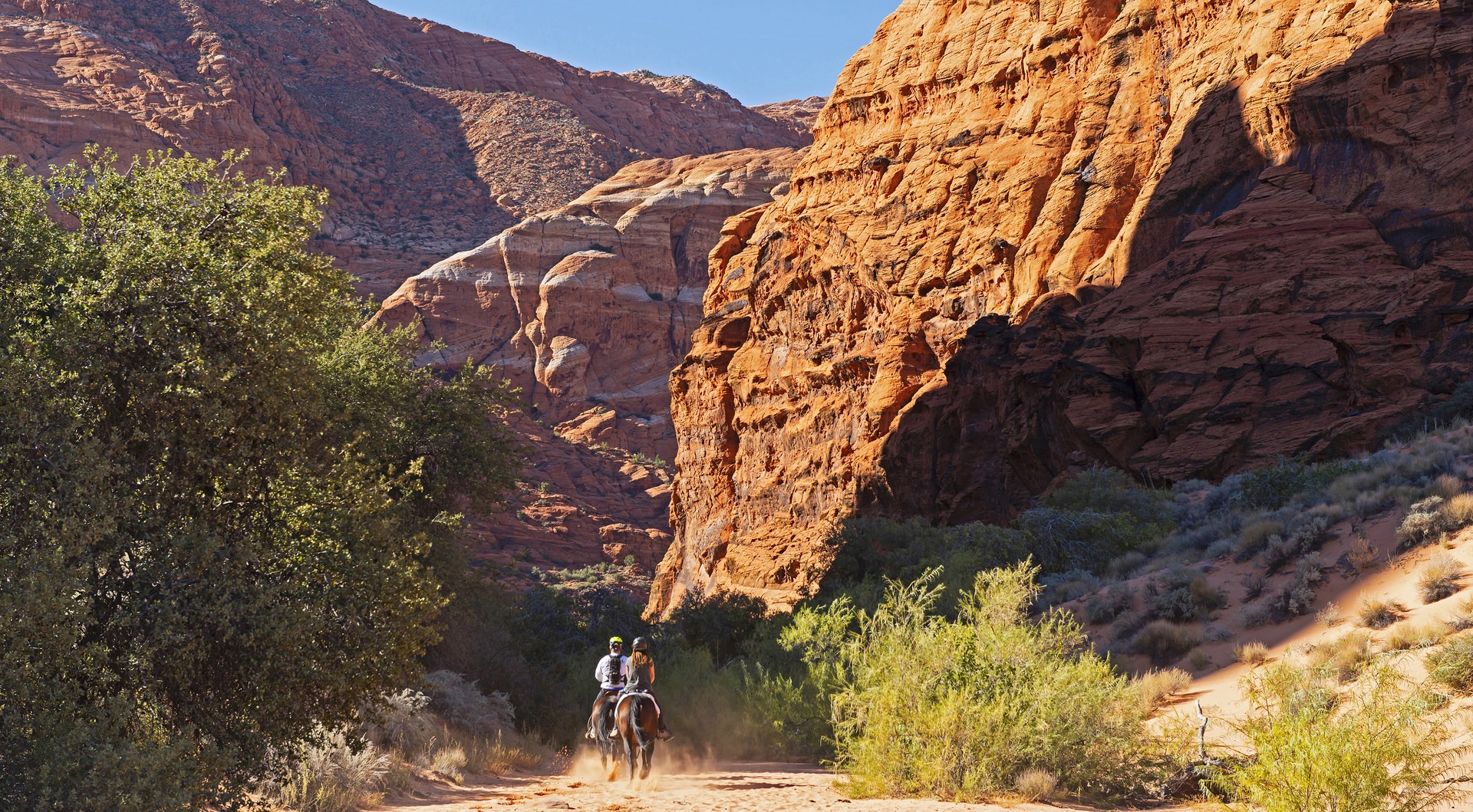 People on horseback heading into the canyon.