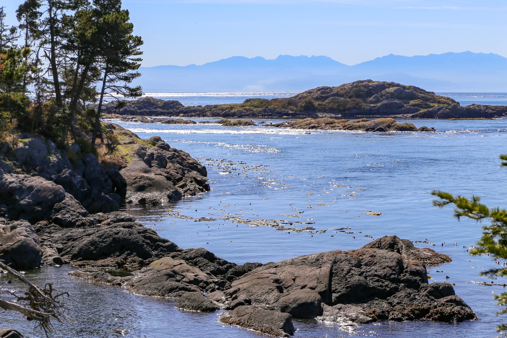 Lopez Island Shark Reef Sanctuary Outdoor Project