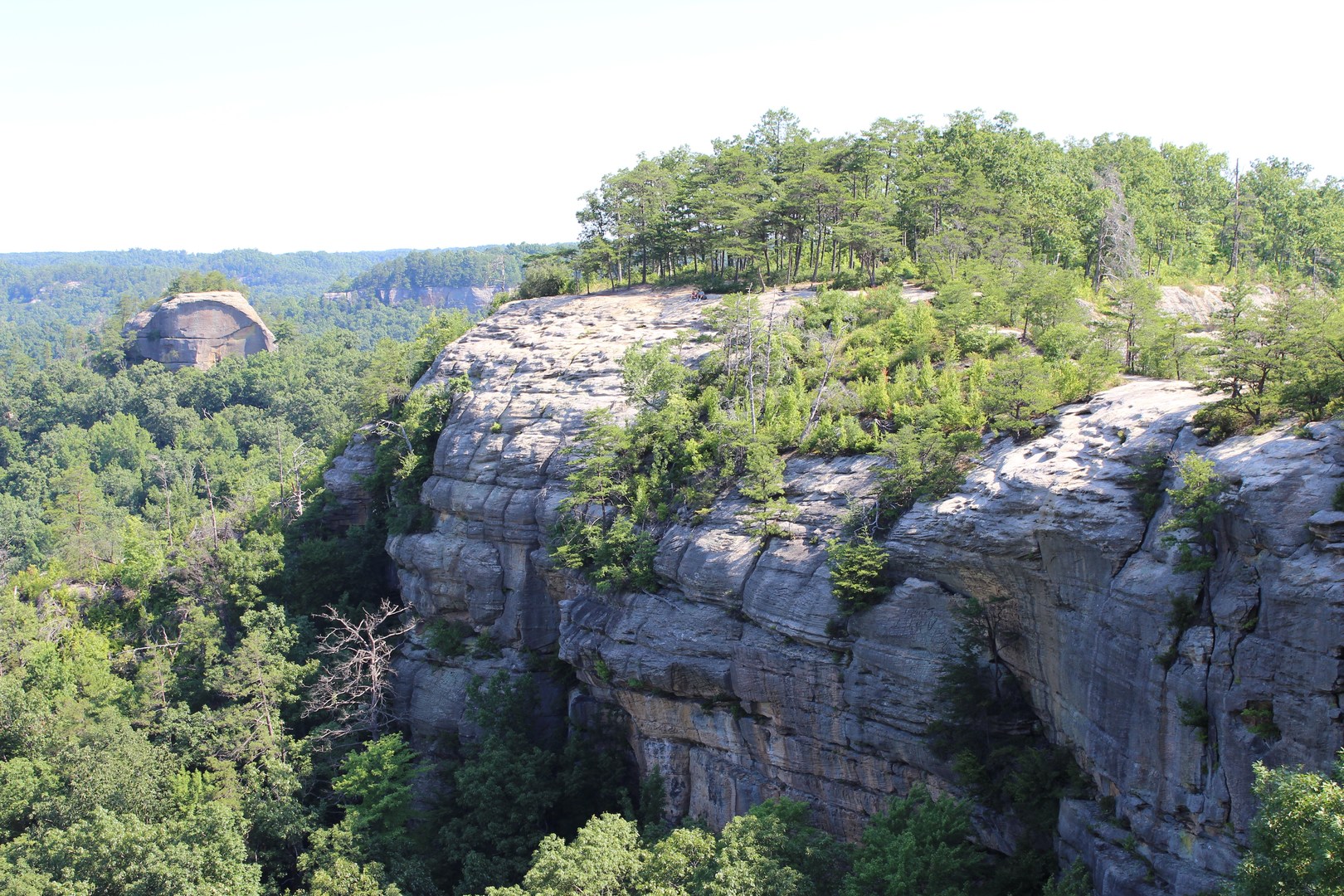 Delicate rock formations scattered throughout the Red River Gorge.