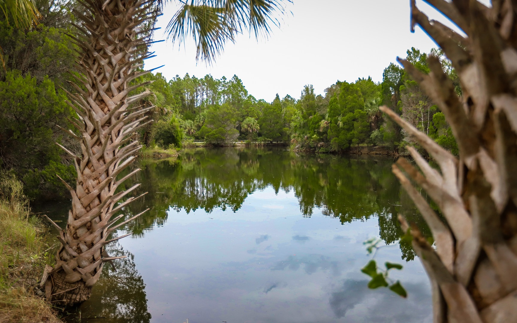 Crystal River Preserve State Park Outdoor Project