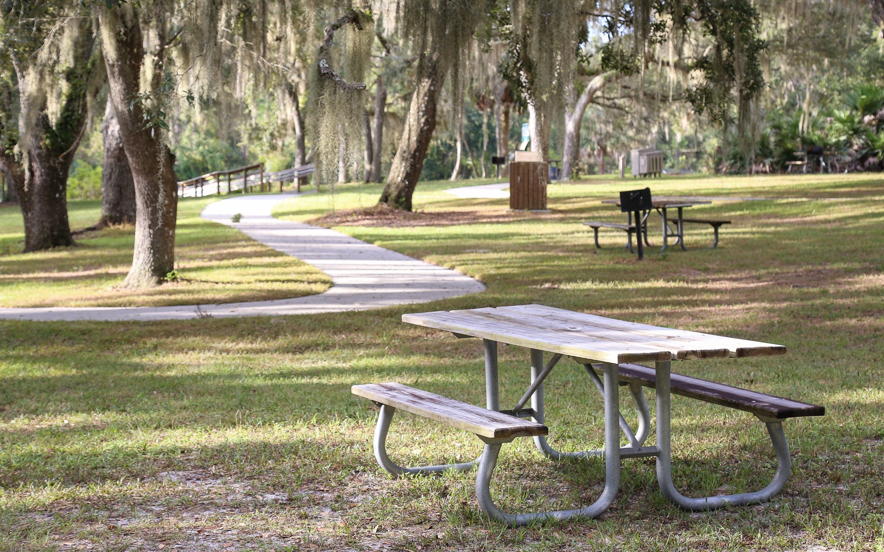 Lake Griffin State Park's day-use area features a collection of picnic tables and fishing benches beneath the scenic moss-covered live oaks.