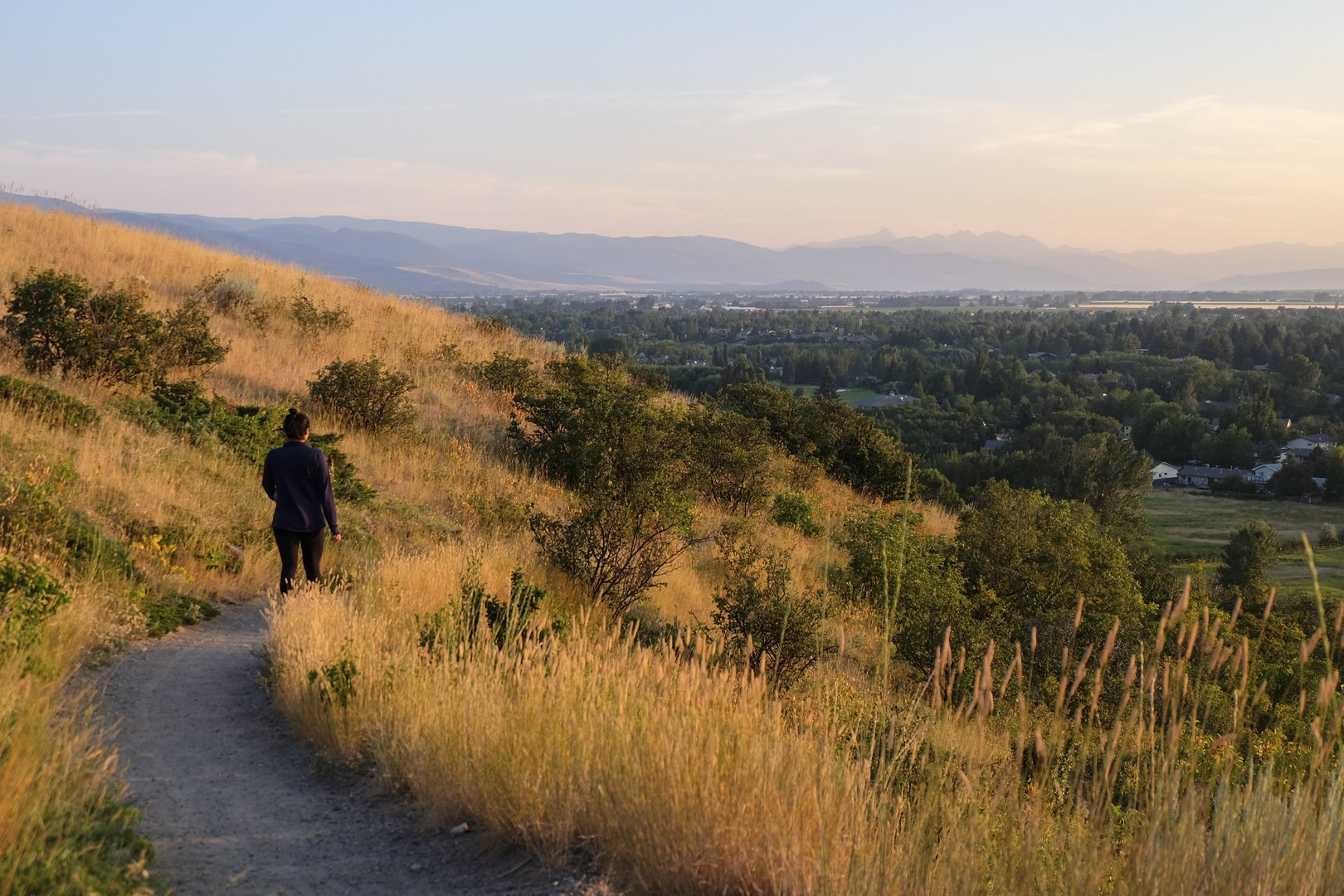 Golden light on Peet's Hill.