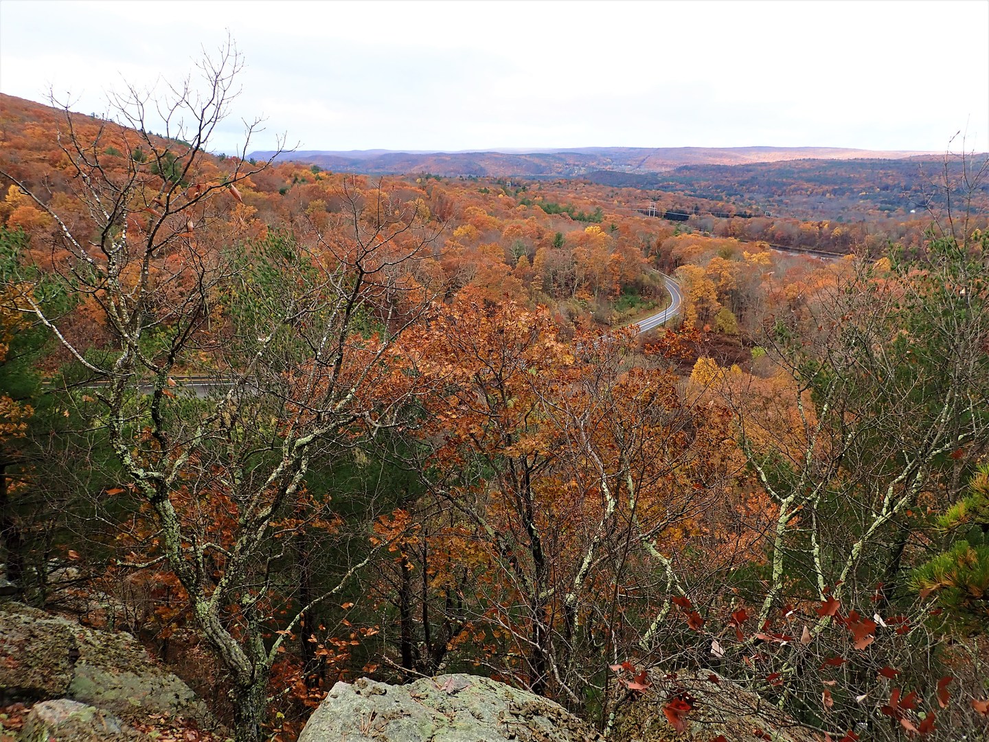 View from the high point of Gobblers Knob.