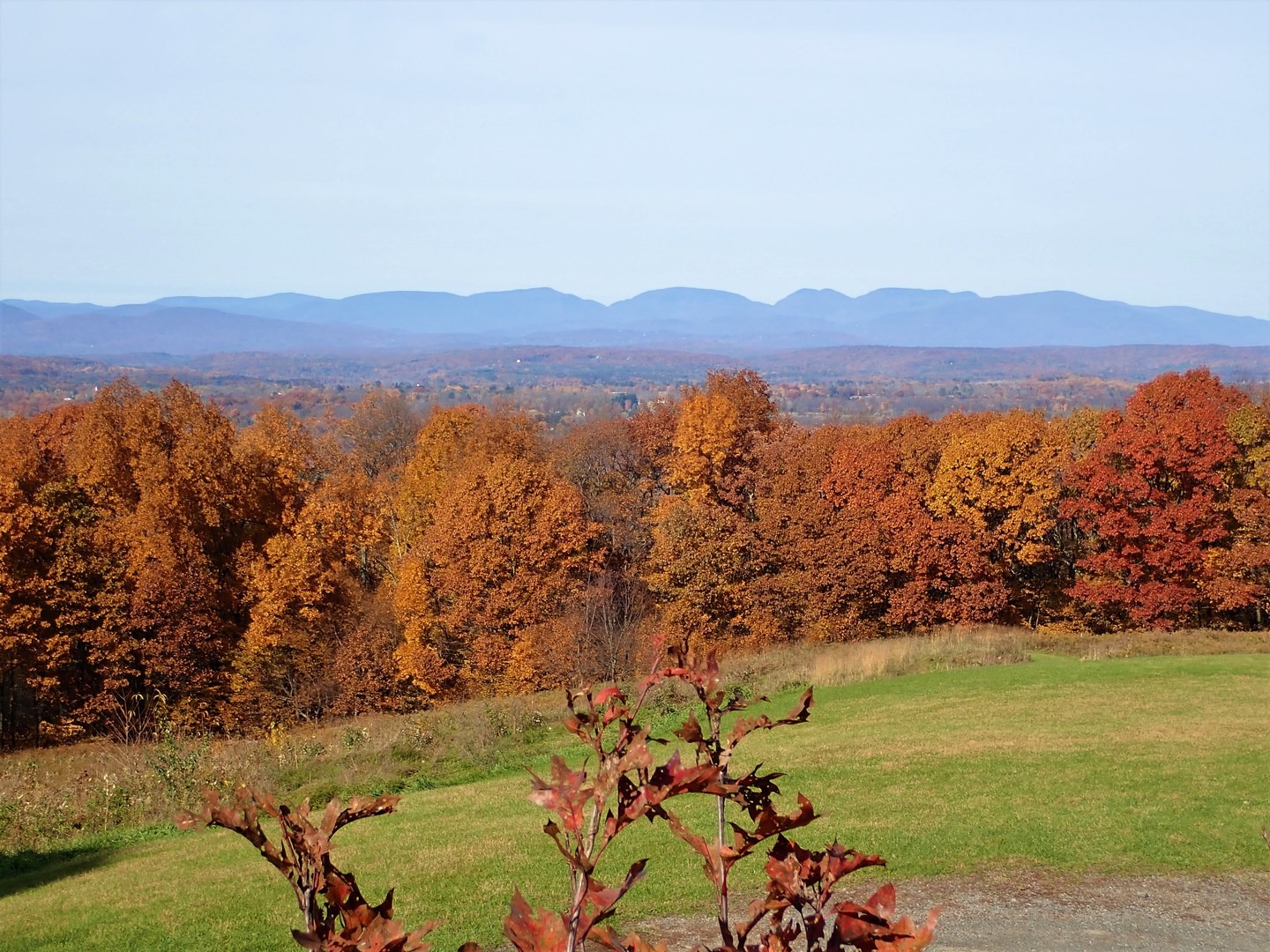 This is a good trail to view fall colors.