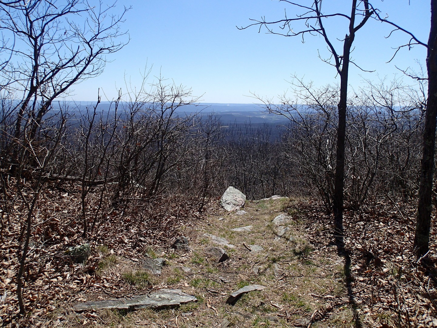 Great view to the east from the first mile of the trail.