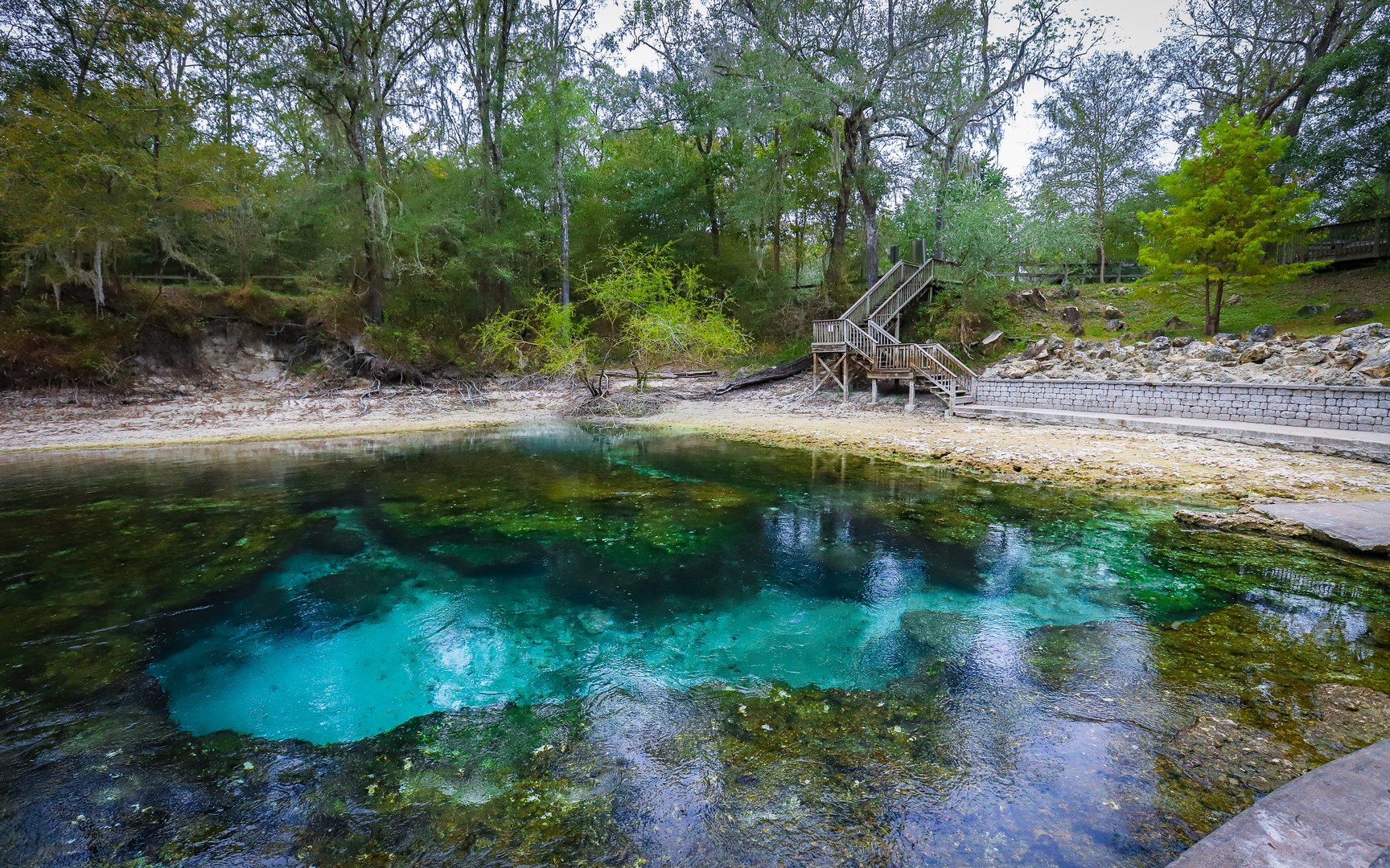 The emerald blue water emerges at 72 degrees from the limestone formations beneath its surface.