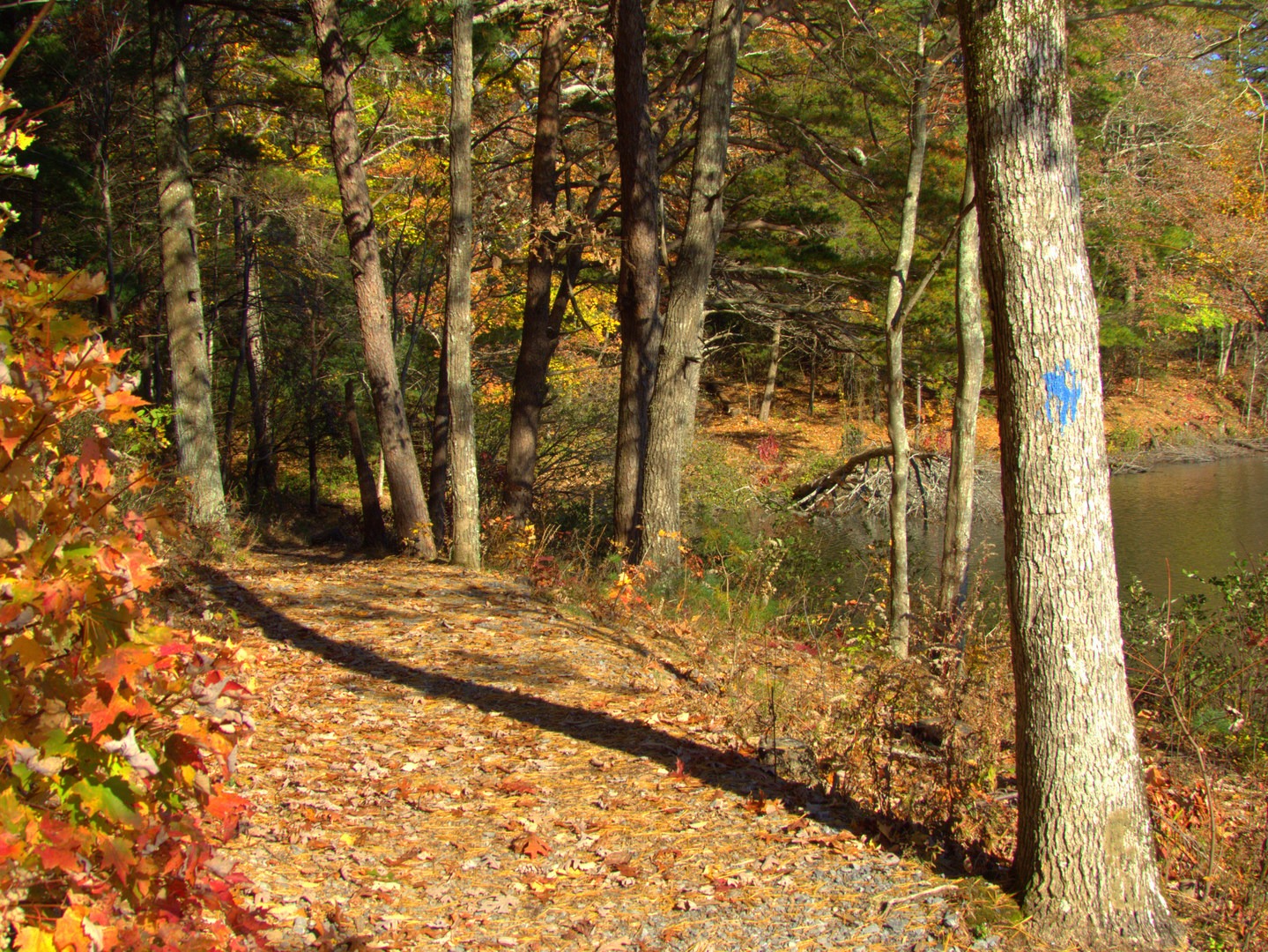 Hiking the Fort Mountain Lake Trail.