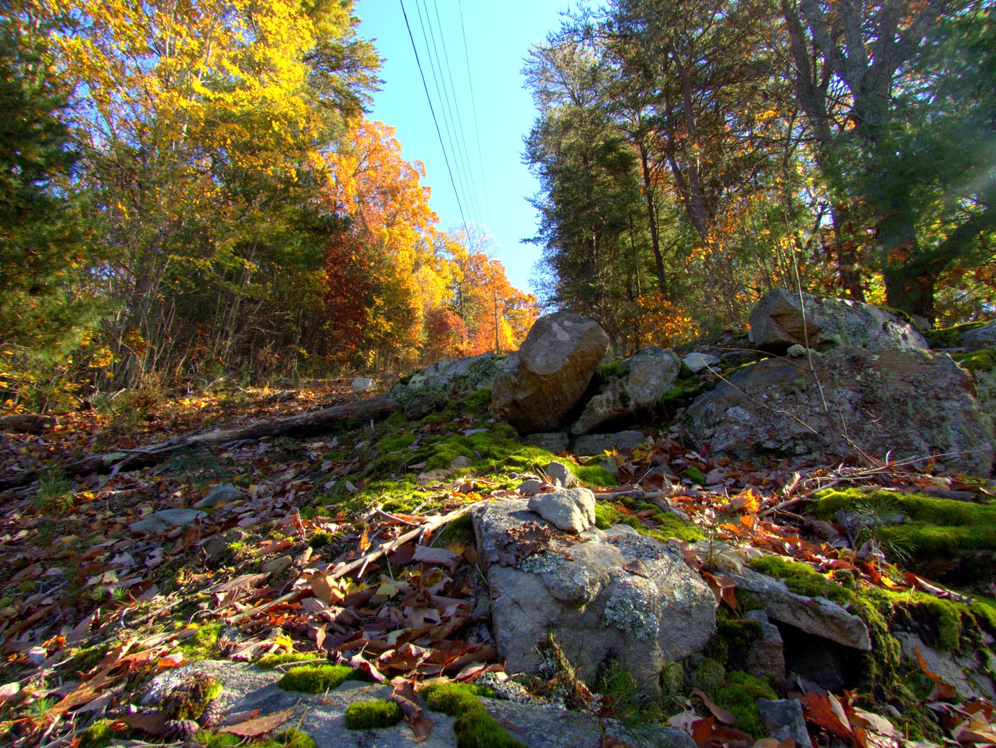Looking up the dreaded power line climb.