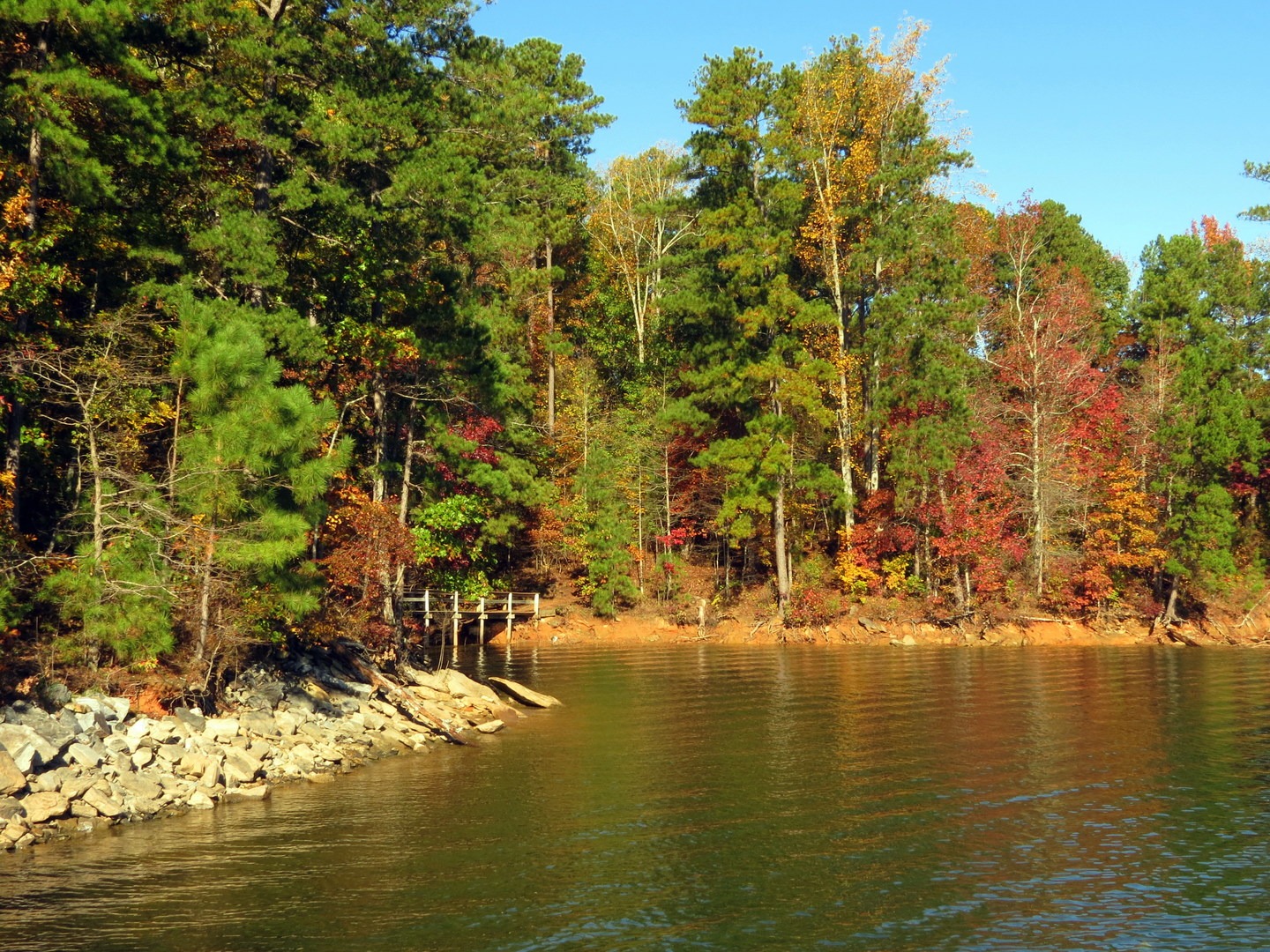 Ripples in Lake Lanier.