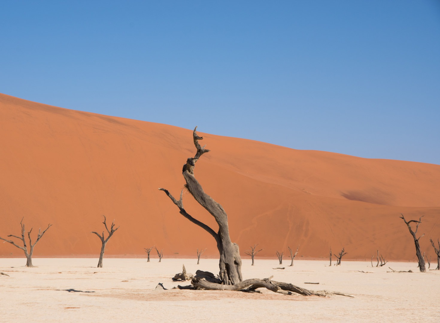 Dead Vlei.