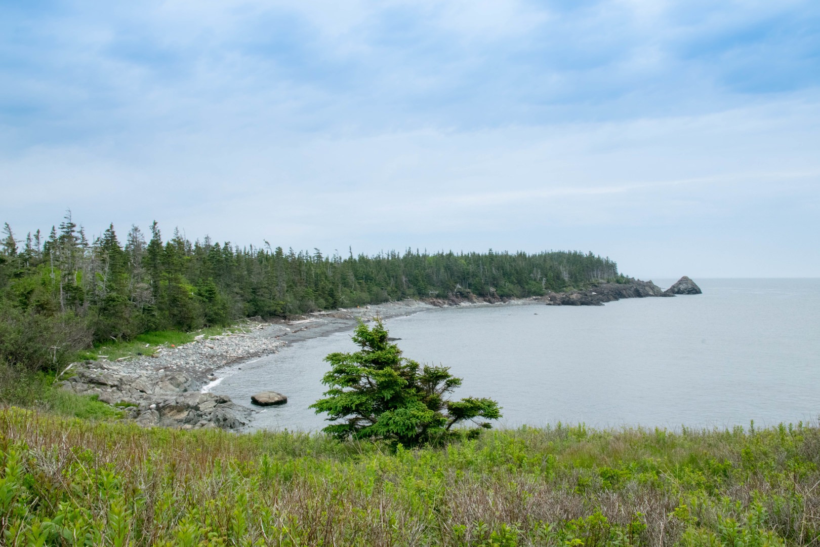 Looking north from Ragged Point.