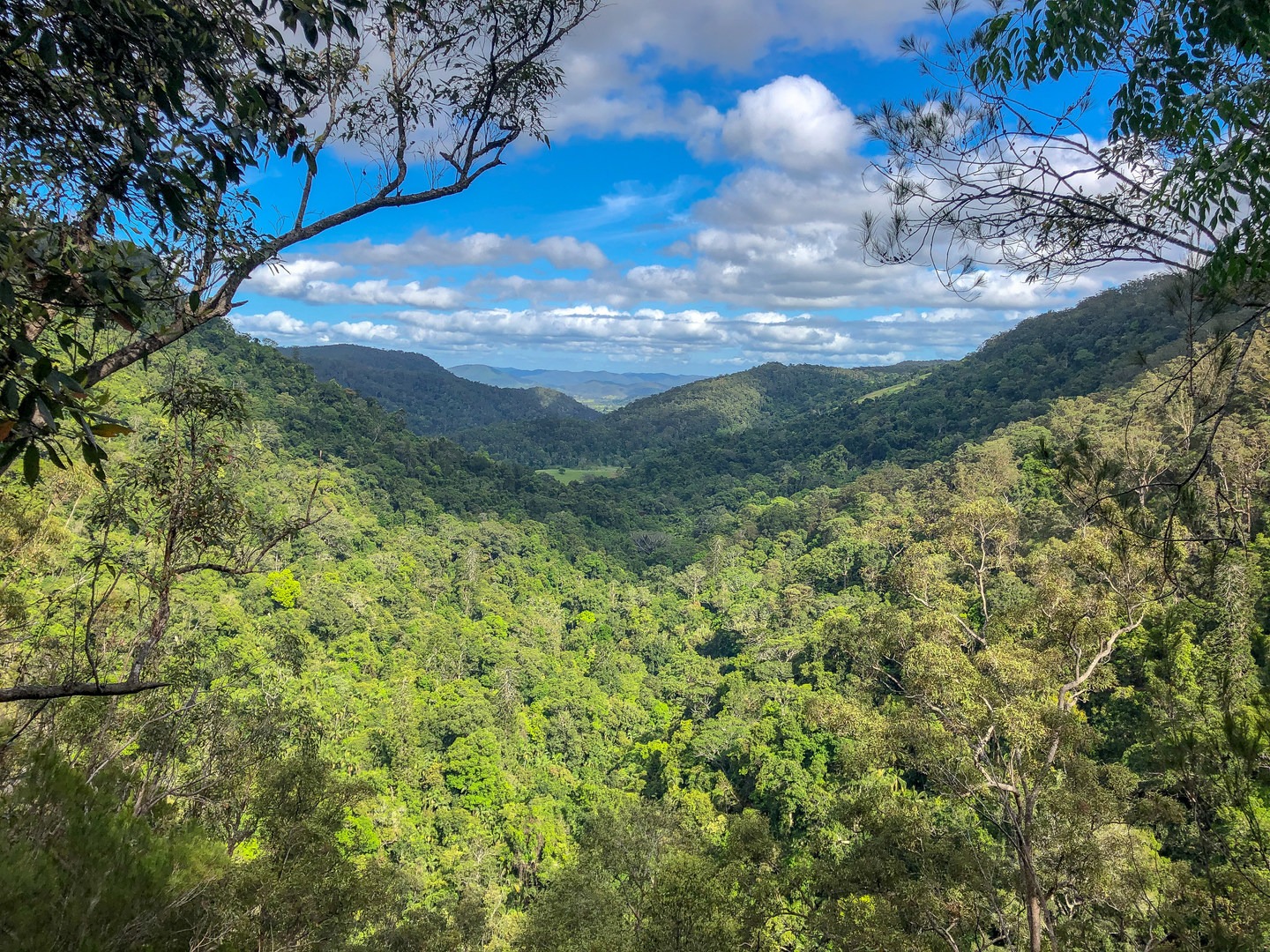 Views from near the top of the falls.