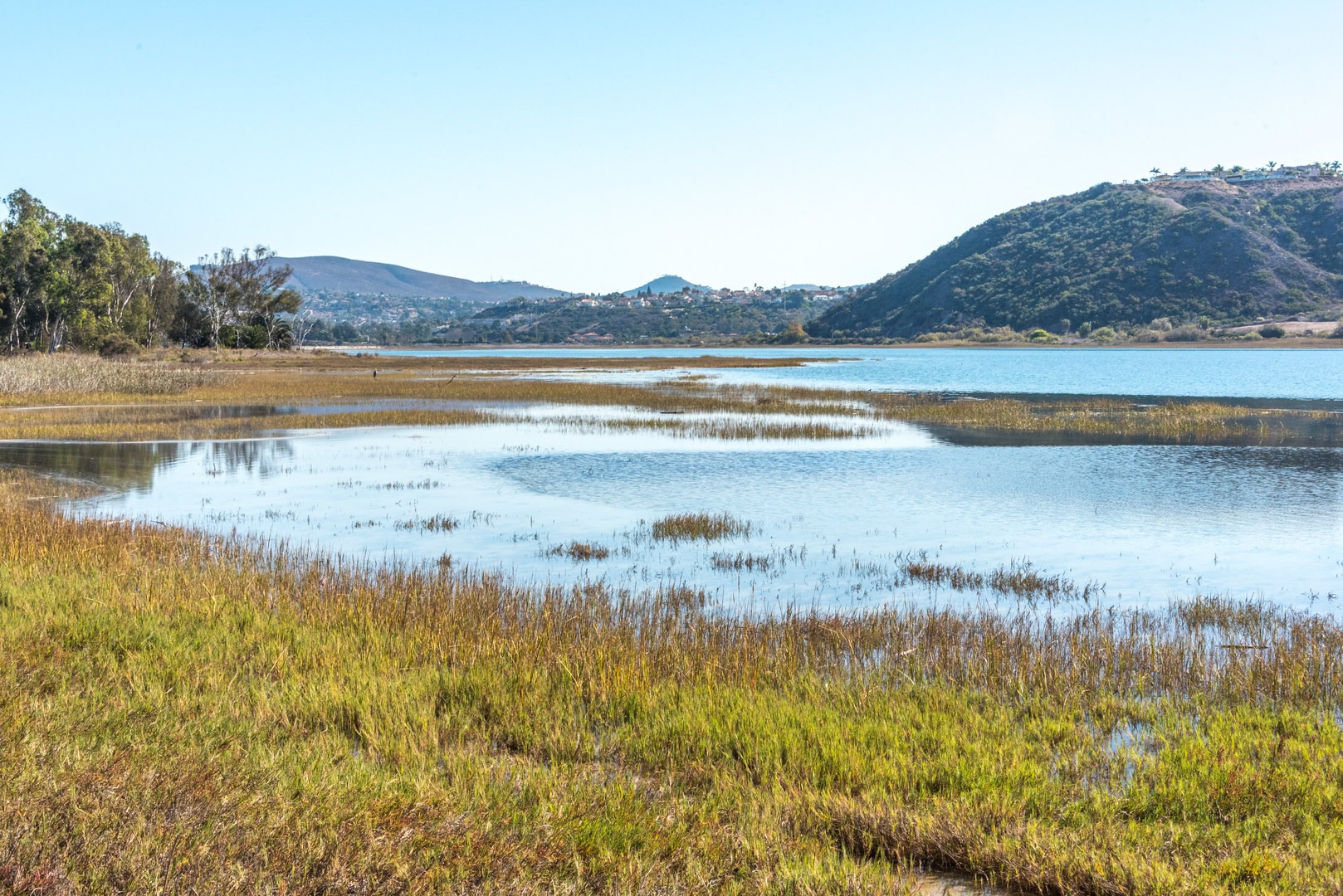View of Batiquitos Lagoon from the trail.