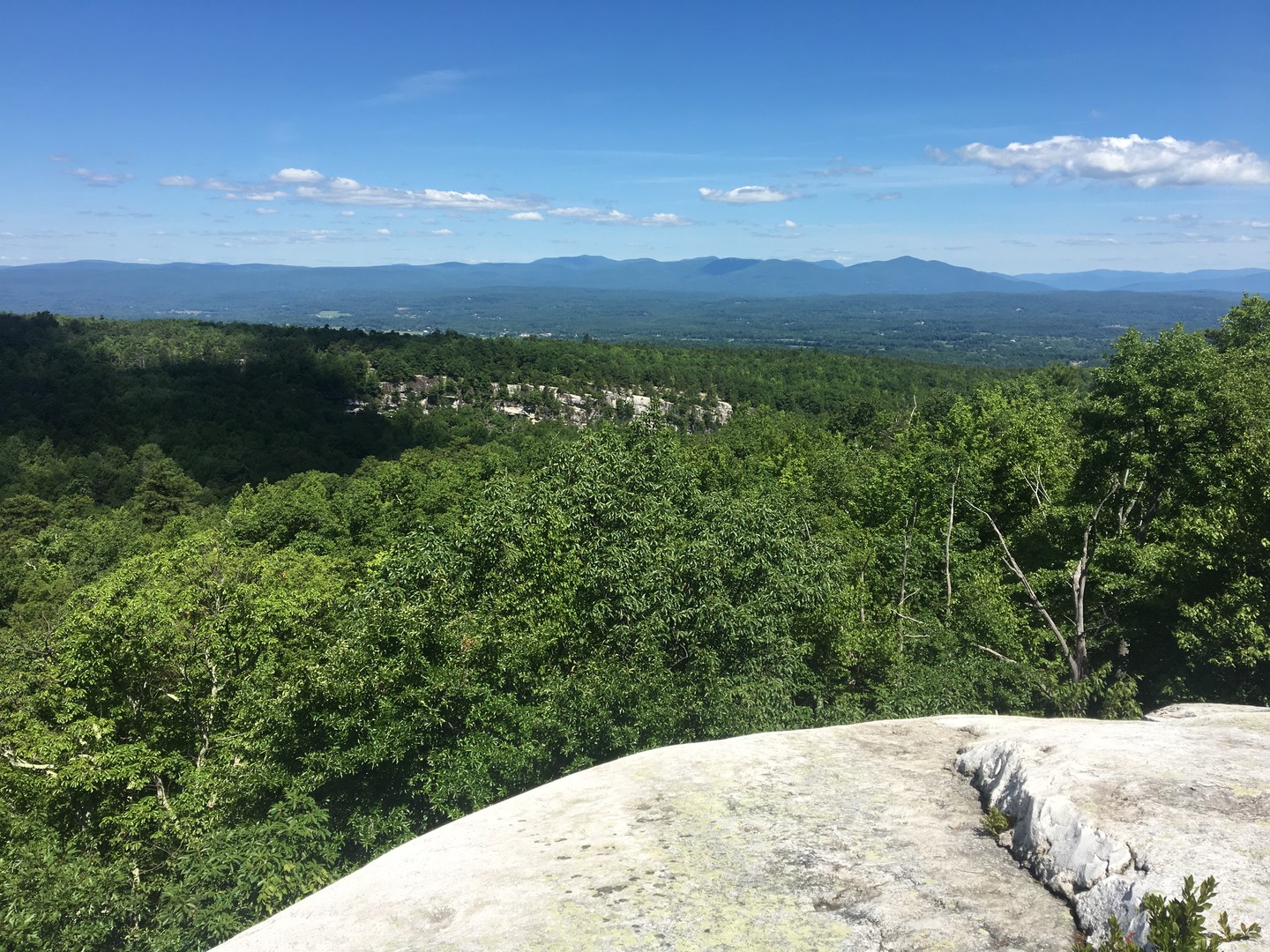 View of the Catskills from the trail.