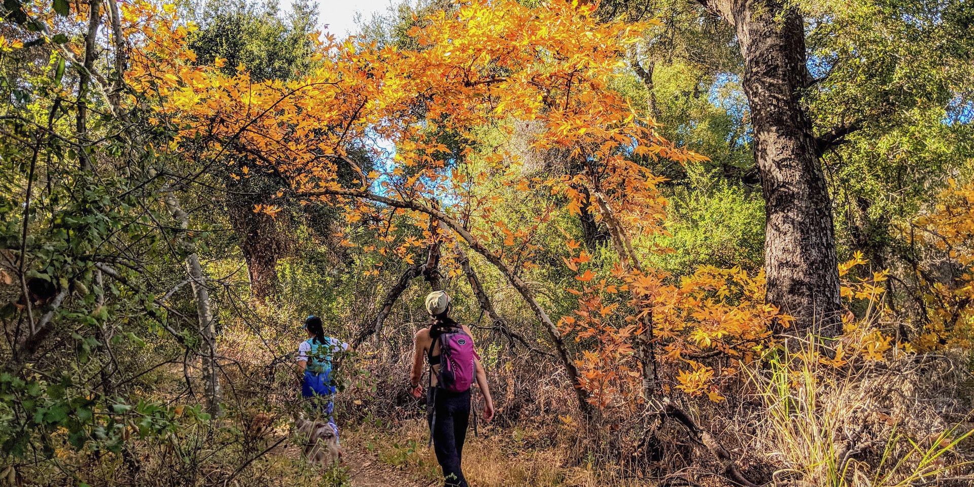 Hiking the trail to Sitton Peak.