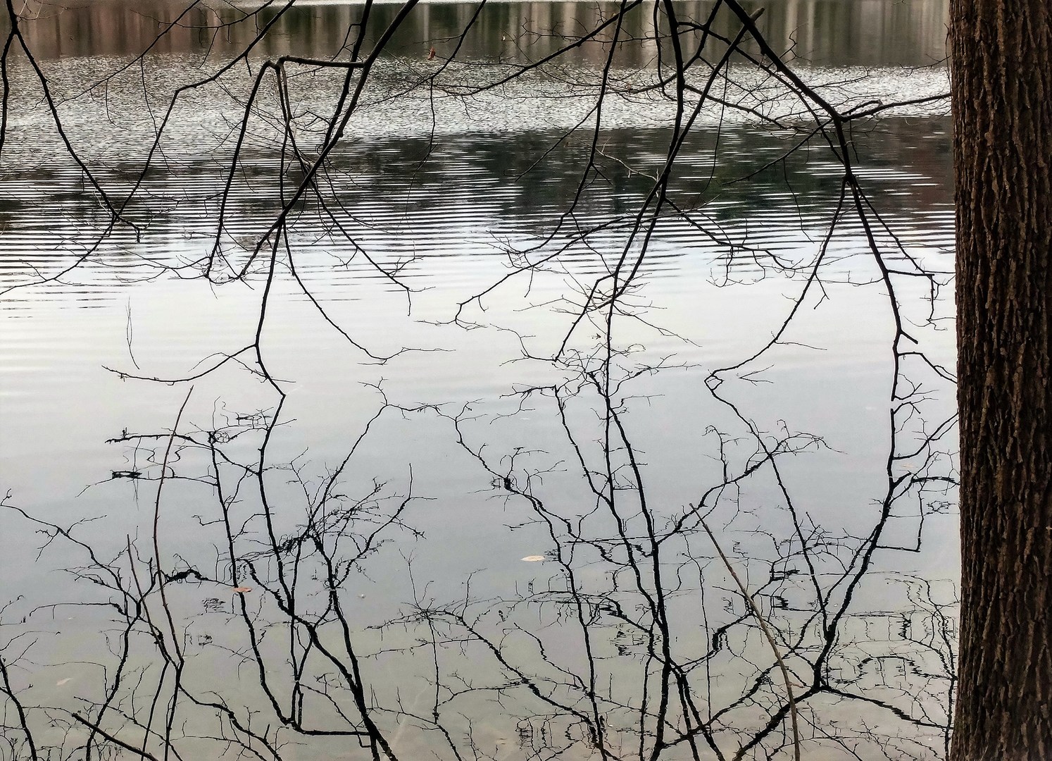 Water is calm and reflective.