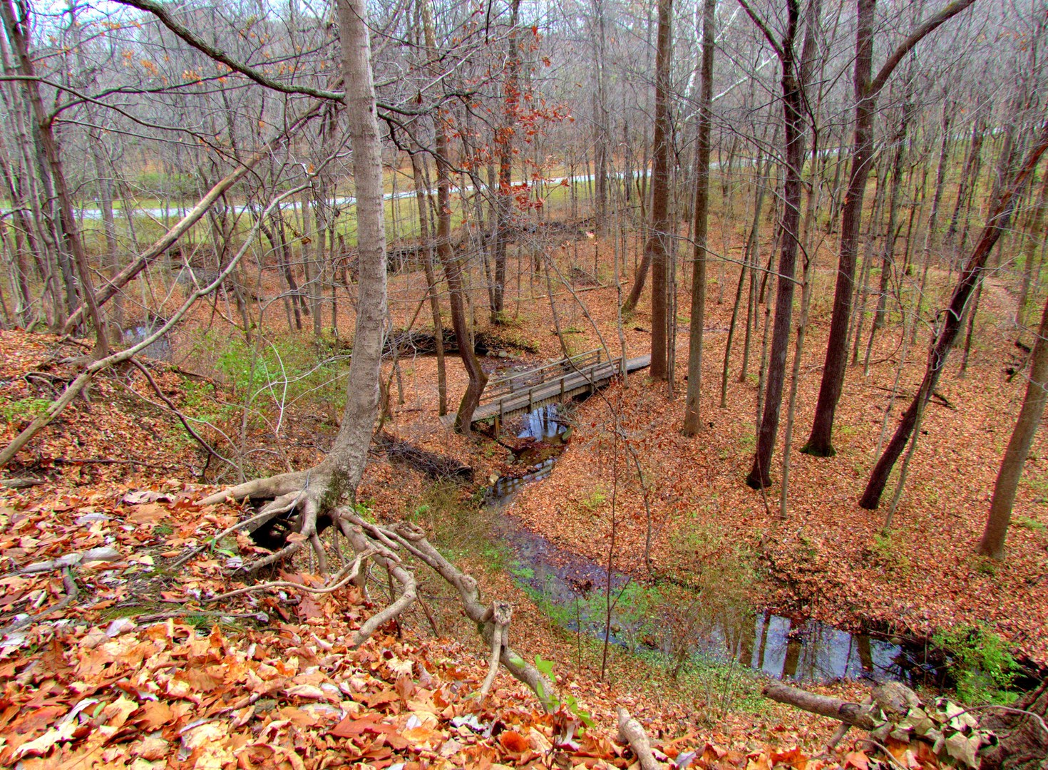 Overlooking a bridge on Schoen Creek Trail.