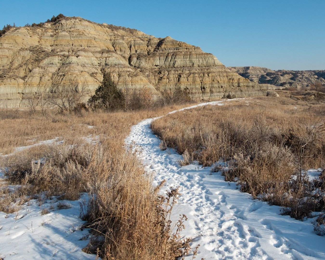 Incredible landscape stepping off on the Caprock Coulee Trail.