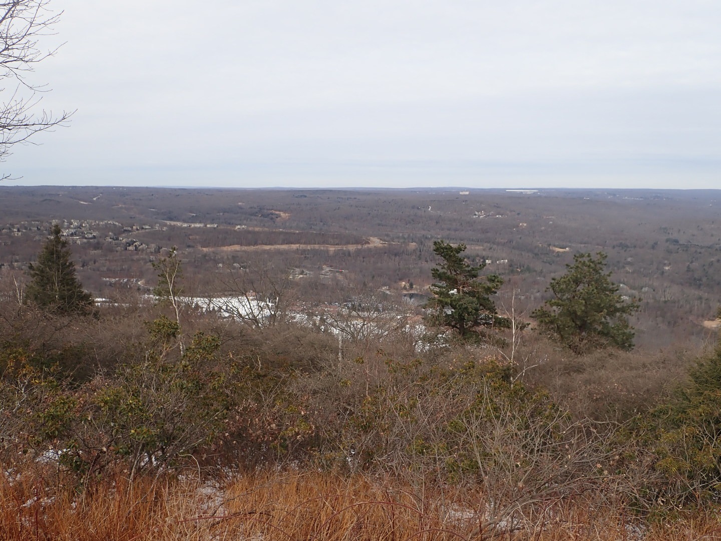View looking north on the North/South Loop Hike.