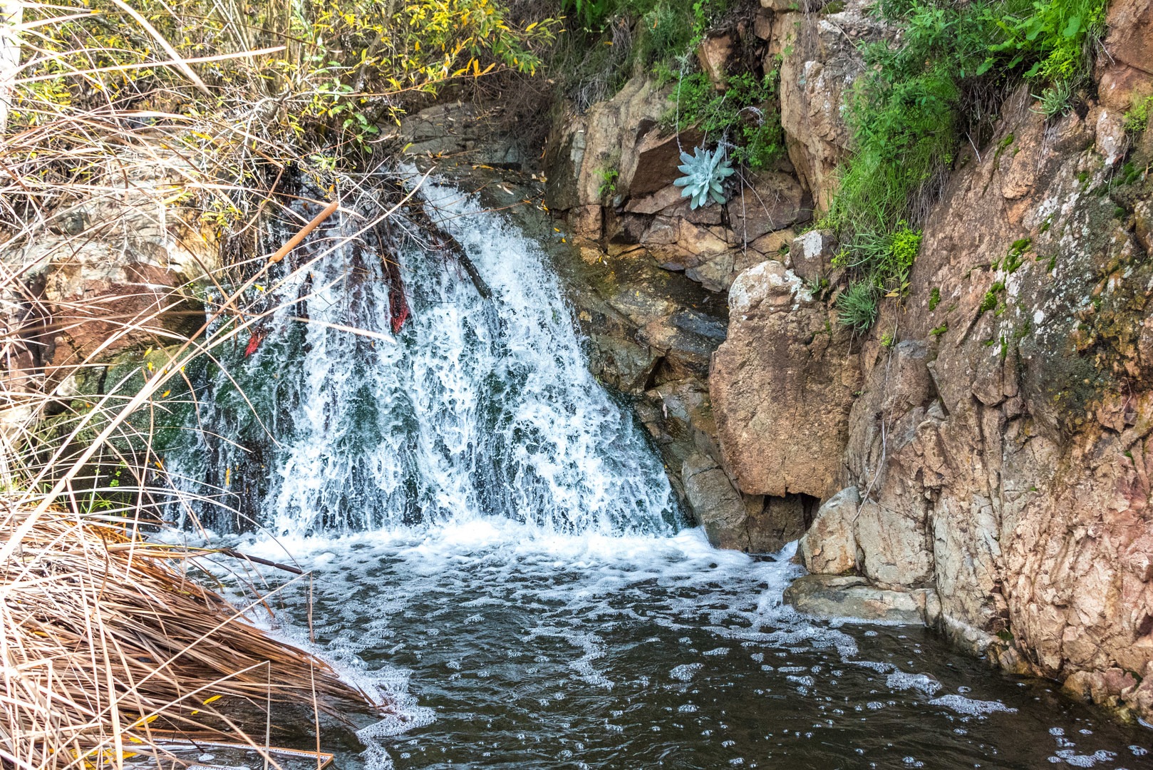 Copper Creek Trail via Whiptail Trail Outdoor Project