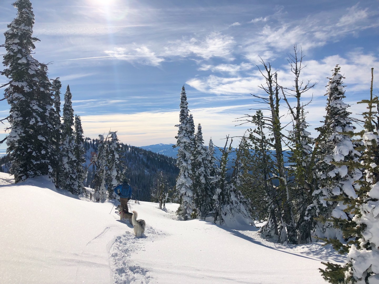 Scoping out the terrain to find the best snow to ski down.