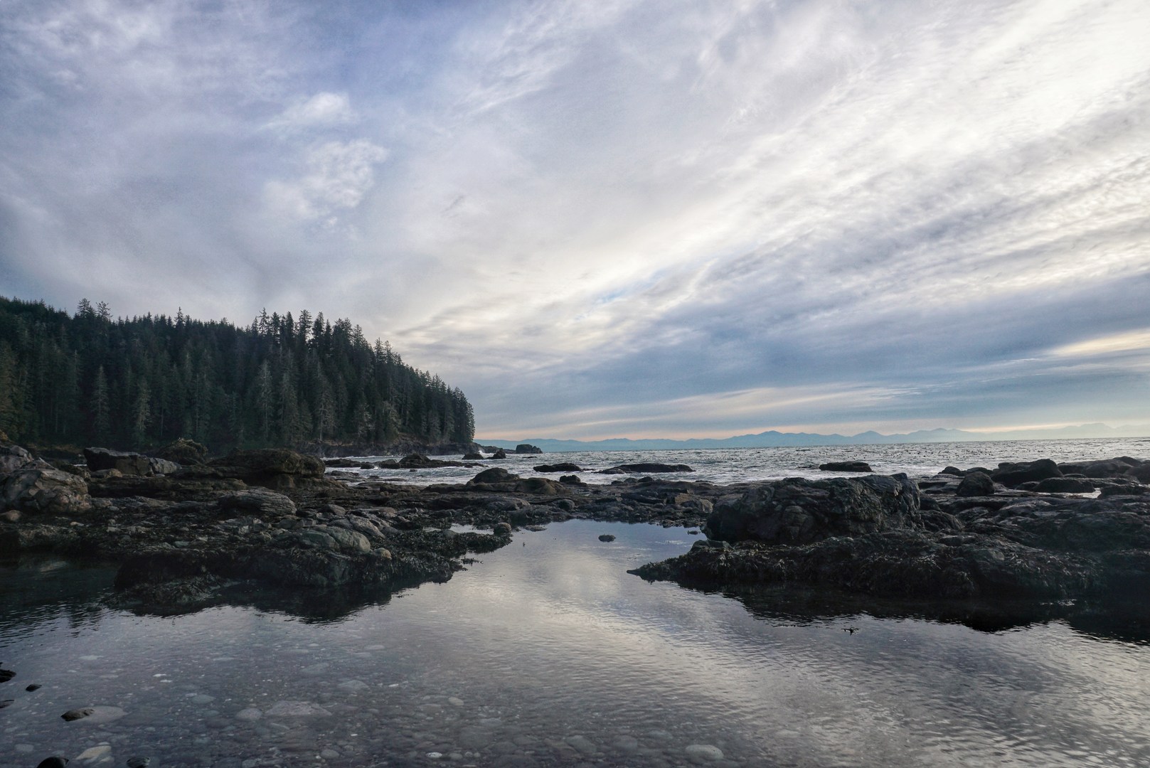 Tide pools at east Sombrio.