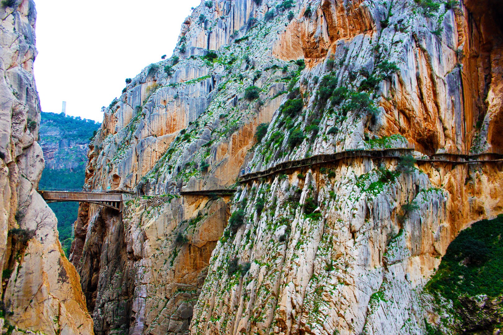 The farther along the trail, the more dramatic the height gets. Near the end, it can definitely make you a little woozy!