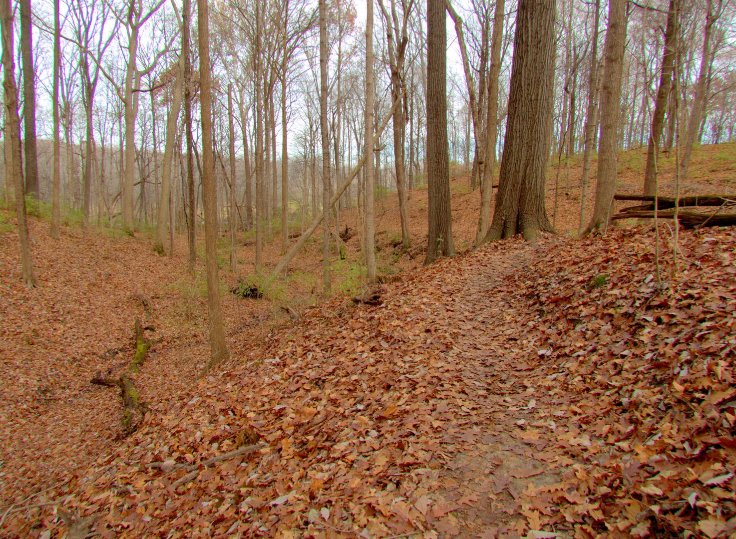 The trail passing alongside a ravine.