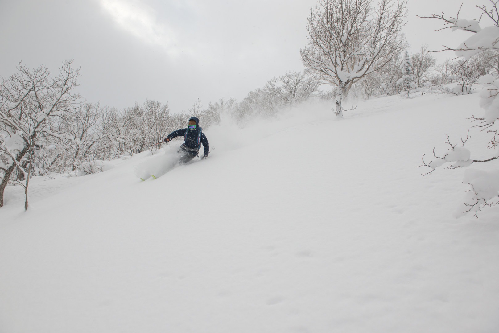 Great tree-skiing at Kiriro.