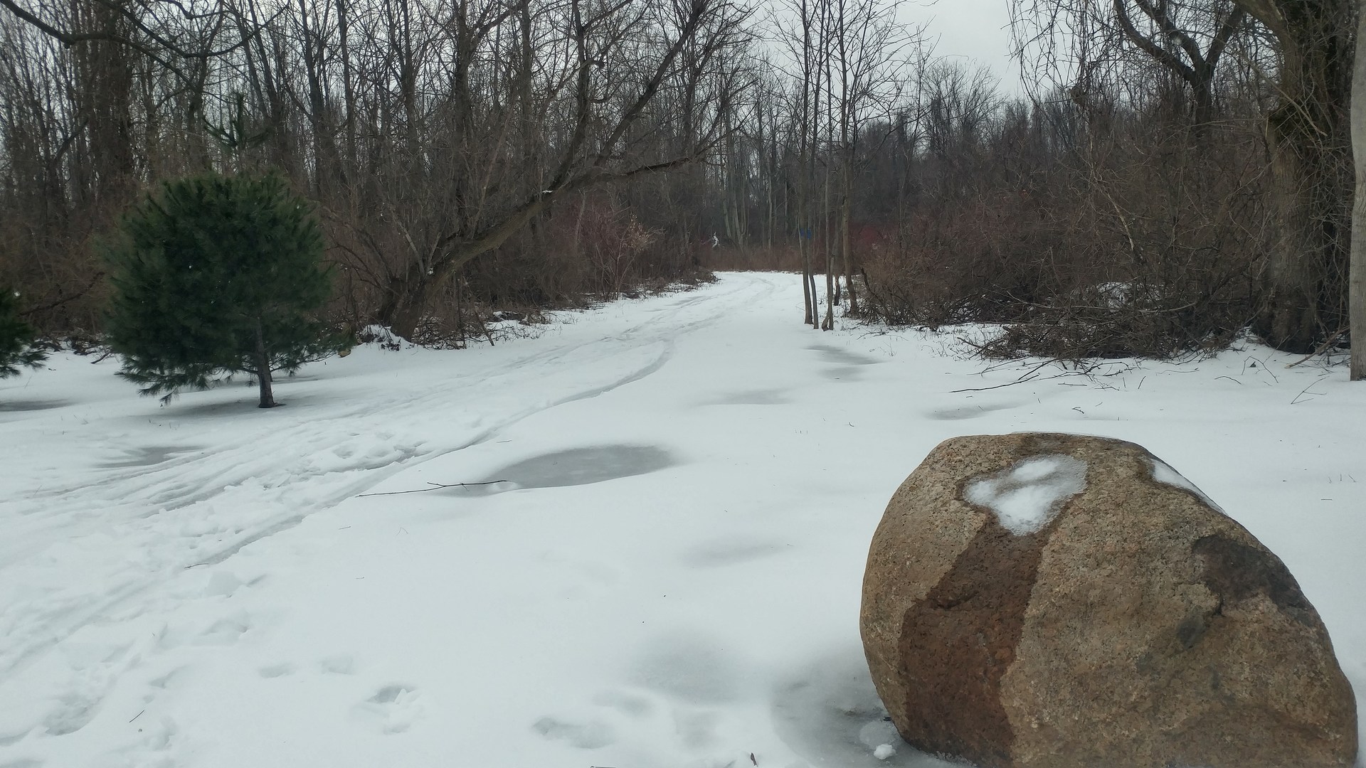 Start with the primary trailhead from the parking lot to the blue trail. There is a second, smaller one (also blue) to your right.