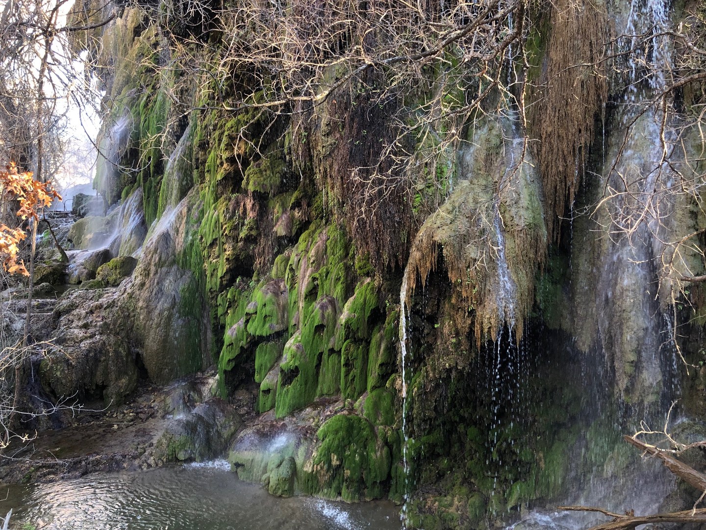 Water drips down the mossy rocks at Gorman Falls.