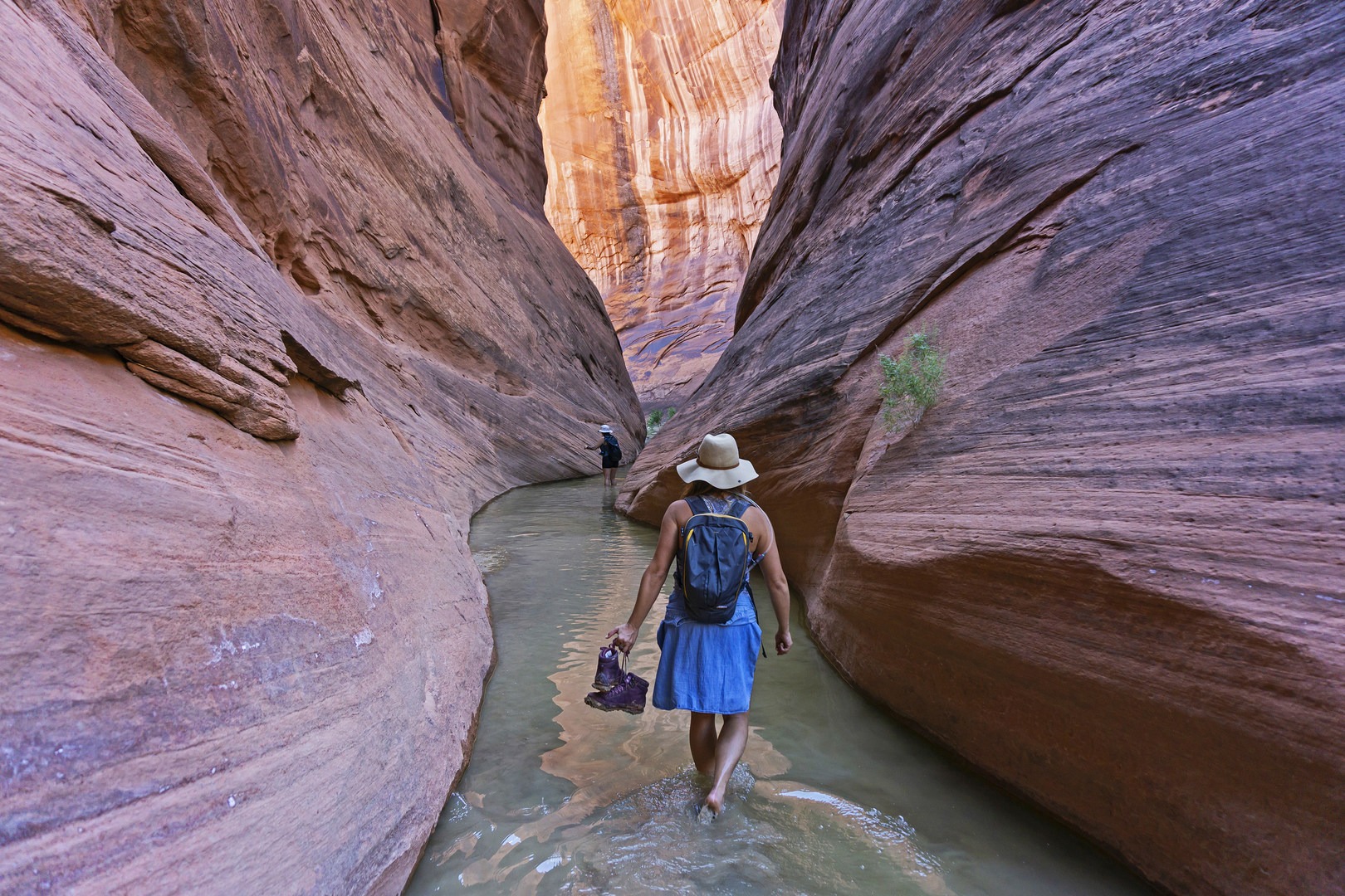 A few miles past camp you start to reach the water table.