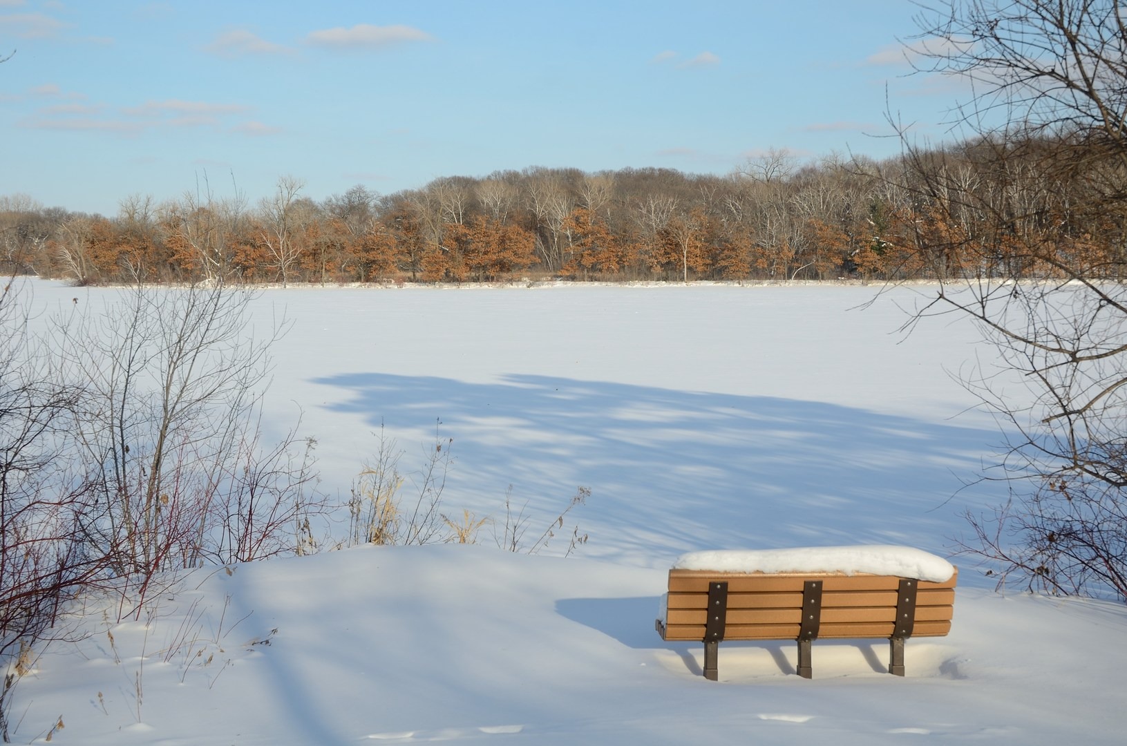 Sucker Lake in winter.